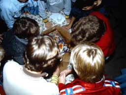 0DIA 1986 RAVA C1